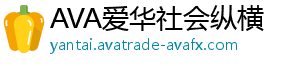 AVA爱华社会纵横